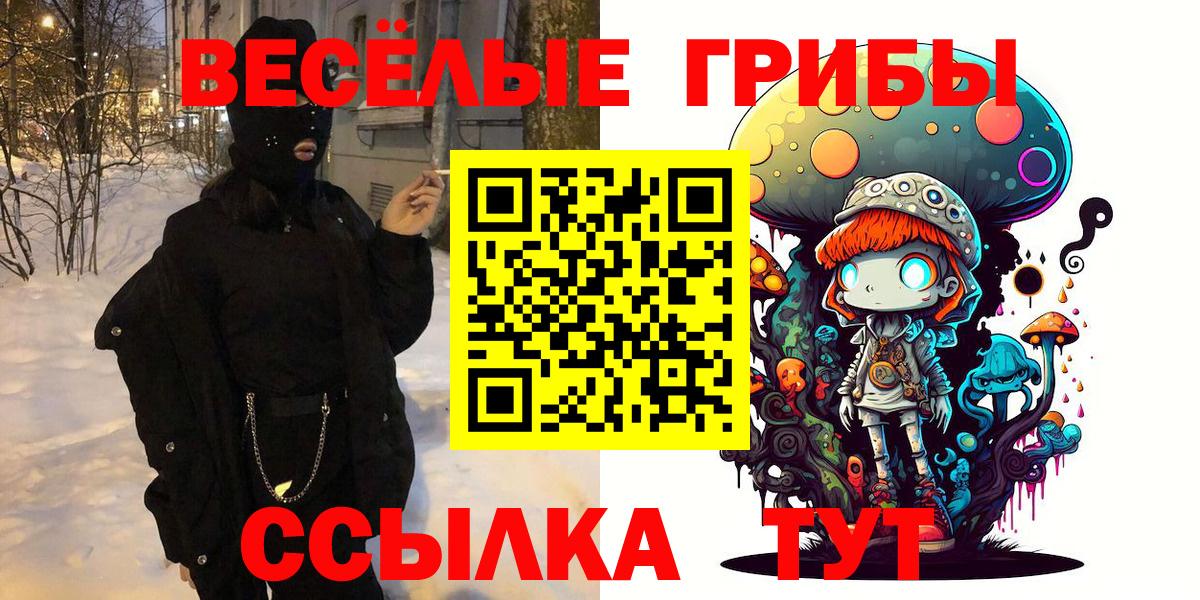 Псилоцибиновые грибы мицелий Котельники